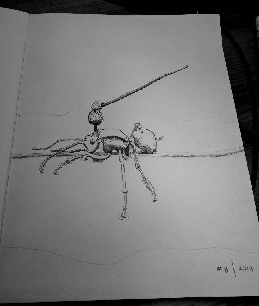 Line drawing of an ant with a long, antenna-like mushroom growing from its thorax