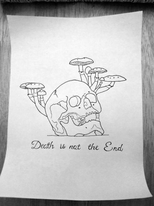 Line drawing of a humyn skull with mushrooms growing from it and text beneath reading 'Death is not the End'
