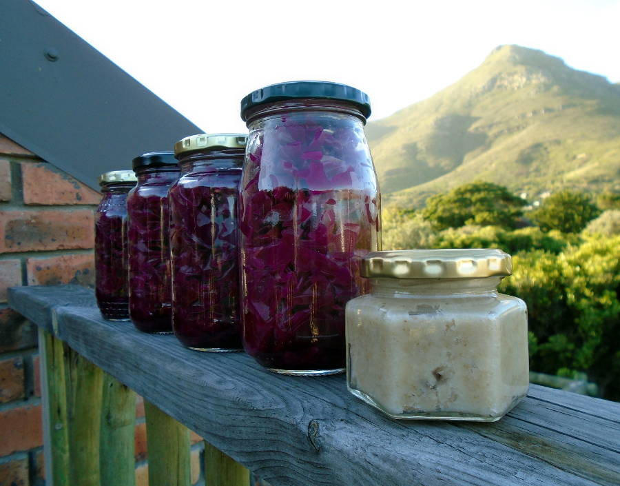 Colour photo showing five glass jars, one small and four large, in a row on a wooden handrail. The first jar contains a cream-coloured mixture of coconut oil, while the other jars are filled with purple sauerkraut. Trees and a mountain can be seen in the background on the right. A brick building appears along the left margin of the photo.