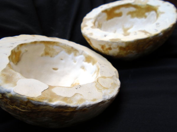 Two dried mycelium bowls.